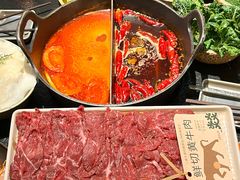 -大龙燚·旷野鲜火锅(广州首店)