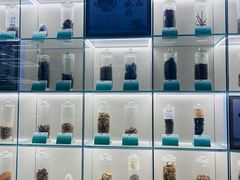 -广东中医药博物馆