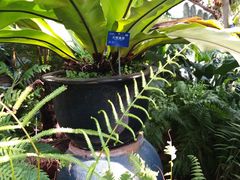 -国家植物园南园