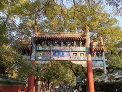 -北京国子监胡同