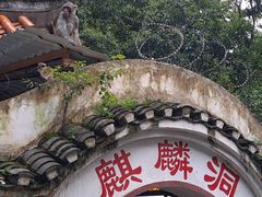 -黔灵山公园