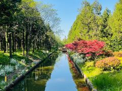 -东平国家森林公园