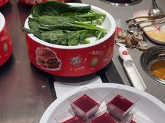 -龍歌自助小火锅(雨花台江南虹悦城店)