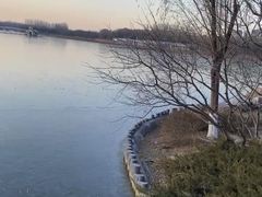 -大兴滨河森林公园