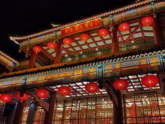 -泰安刘老根大舞台