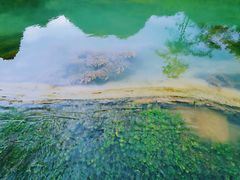 -靖西鹅泉风景区