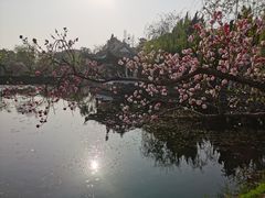 -无锡蠡湖国家湿地公园-蠡园