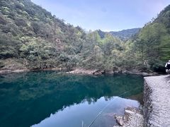 -芦茨金富饭庄·25年老字号·专做稻草鸡