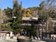 -潭柘寺景区