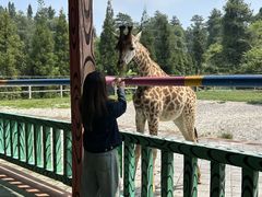 -贵州森林野生动物园