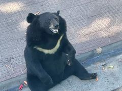 -西霞口神雕山野生动物世界