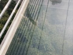 -四会奇石河风景区