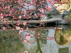 -艺圃