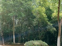 -合肥野生动物园