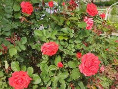 -国家植物园南园