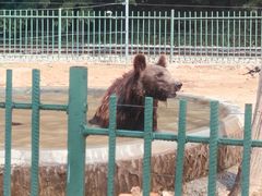 -秦皇岛野生动物园