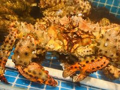 -韩记海鲜饺子旗舰店(红海新区店)