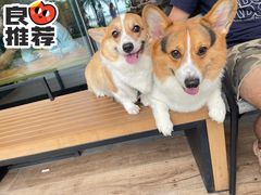 -星巴克(珠海仁恒滨海中心店)