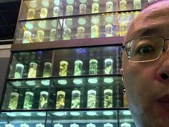 -广东中医药博物馆