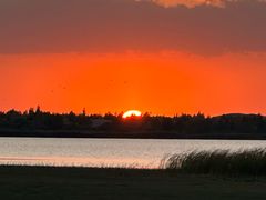 -亿利库布其七星湖沙漠生态旅游区