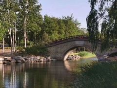 -大兴滨河森林公园