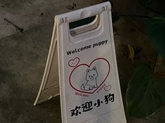 -嘁嘁茶泡饭