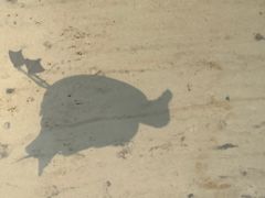 -海驴岛(荣成市)