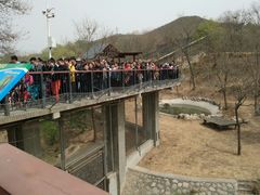 -石家庄市动物园