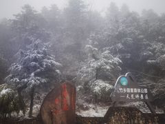 -江南天池