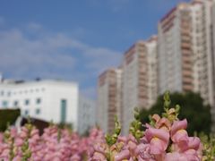 -文华公园(禅城区)