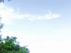 -华侨城湿地公园