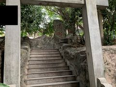 -小洲村