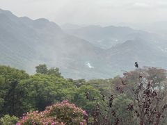 -广州市石门国家森林公园