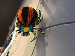 -一兆韦德健身(慧芝湖店)