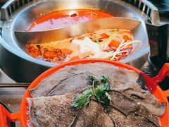 -辣伍鲜毛肚老火锅(元一店)