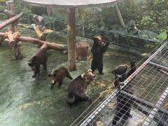 -深圳野生动物园