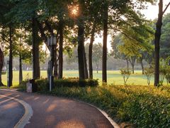 -顺峰山公园