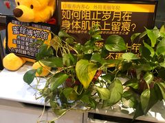 -蜜蜂家的红茶馆(华府店)