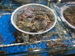 -王四营海鲜市场