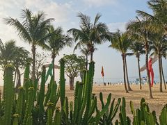 -大梅沙海滨公园