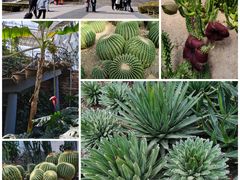 -国家植物园
