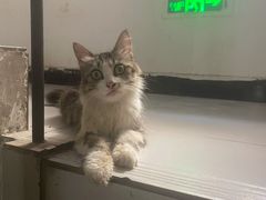 -瑞派名望24h动物医院异宠专科·猫专科·骨科·重症监护分院