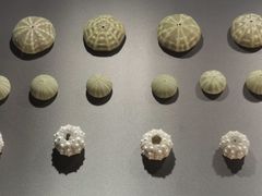 -重庆自然博物馆(新馆)