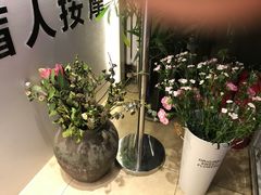 -康轩盲人按摩(上海沙龙店)