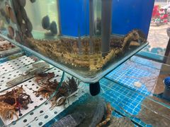 -渔码头食府·20年蓬莱老字号(登州路店)