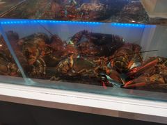 -同庆楼(滨湖万达广场店)
