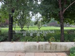 -大望京公园