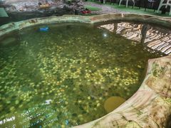 -赛汗塔拉风情园