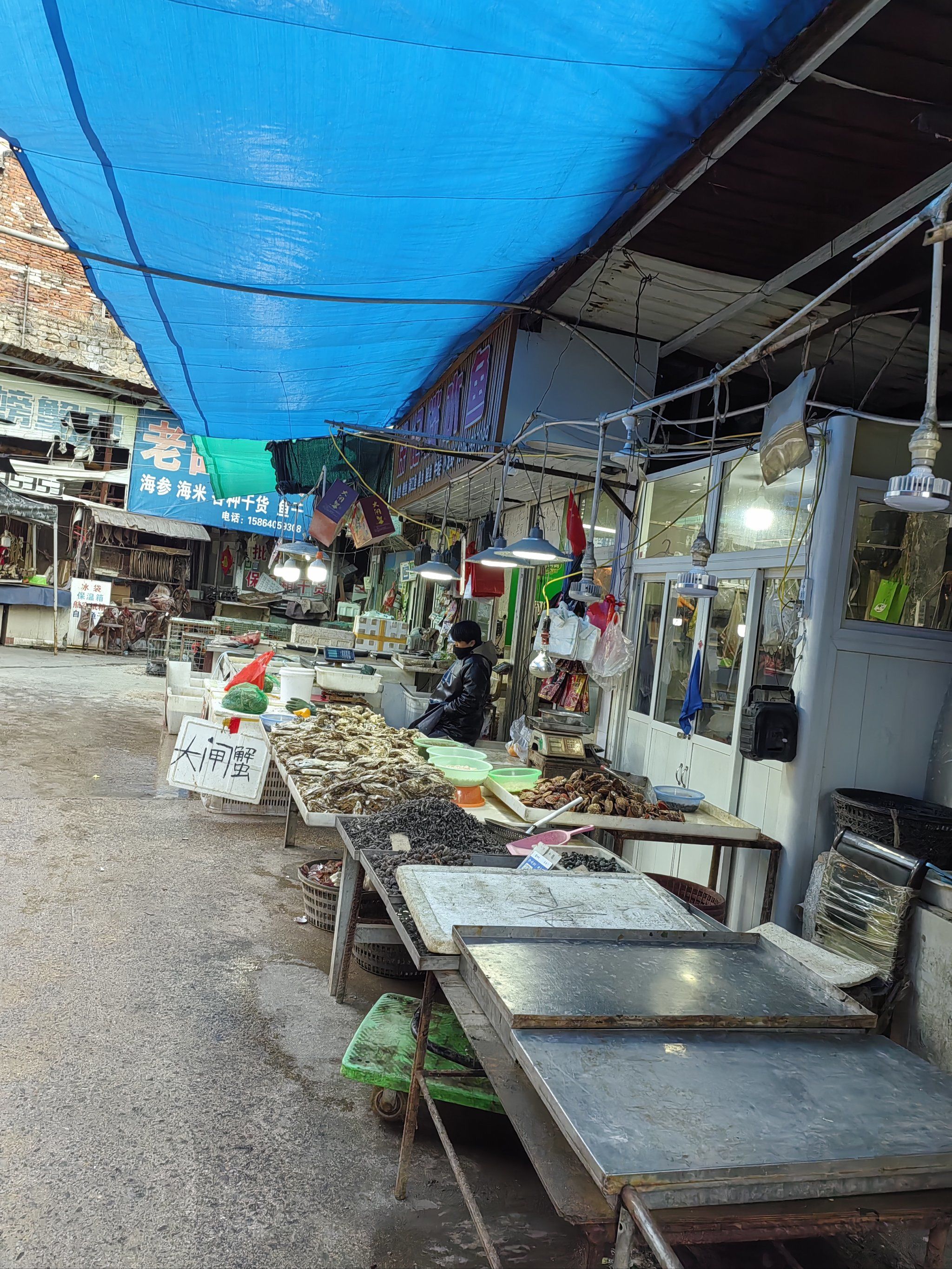 0元玩转这座城今天下午过来逛了个市场,看到海鲜的这儿今天有新鲜的