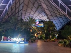 -三亚海昌梦幻海洋不夜城